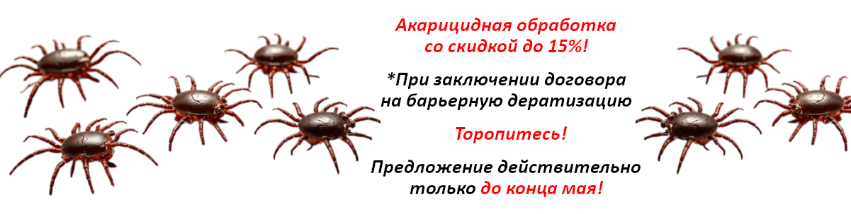 Обработка от клещей