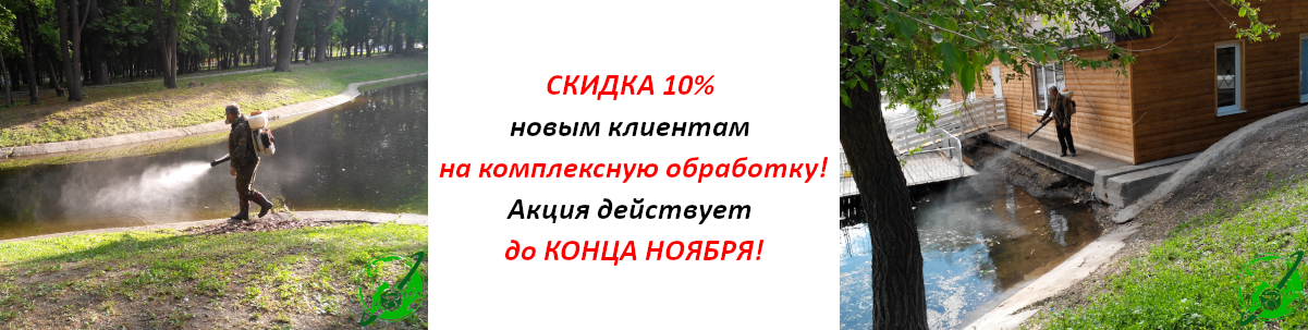 Скидка 10% новым клиентам на комплексную обработку
