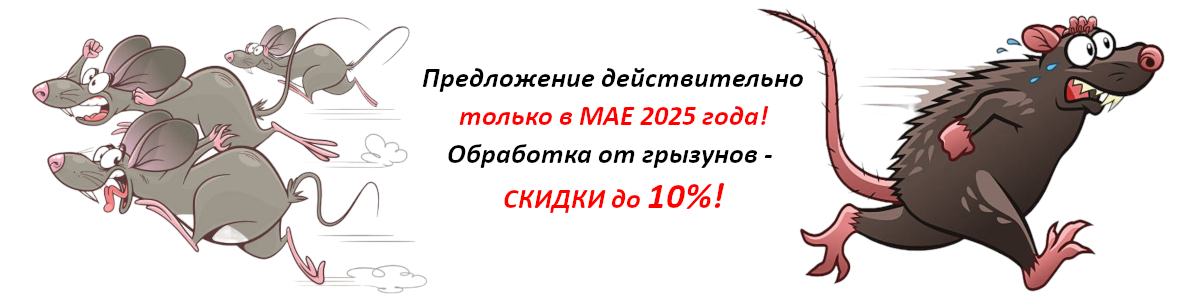 Обработка от грызунов